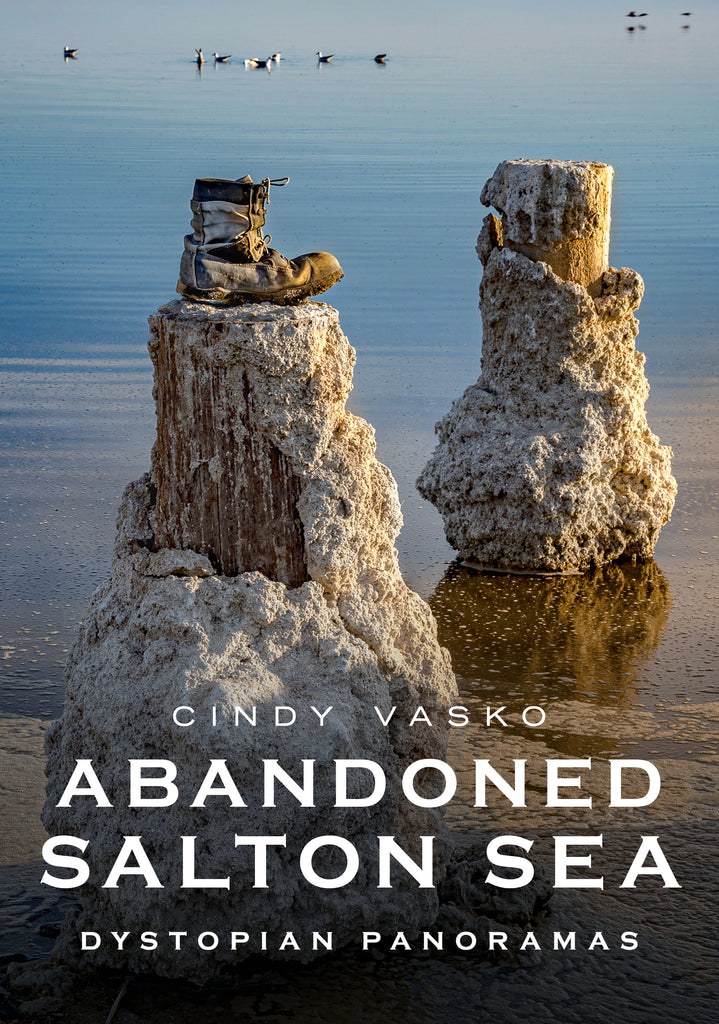 Abandoned Salton Sea: Dystopian Panoramas