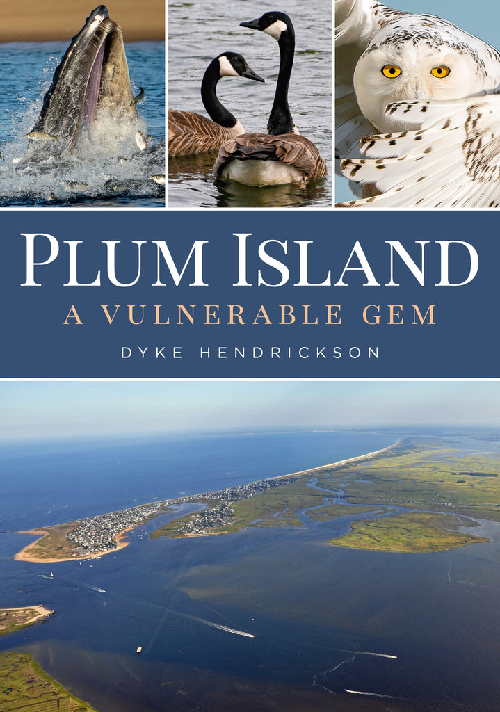 Plum Island: A Vulnerable Gem